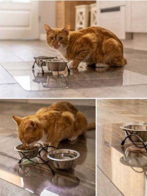 0-02-05-c560c9ffa561222fad32bf2871cf1001e421a2e2c6076214b13ca1bc864c9dfc_290780b7